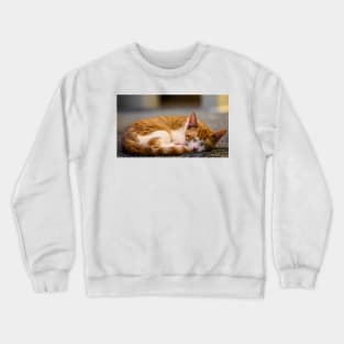 Ginger Kitty. Asleep Crewneck Sweatshirt